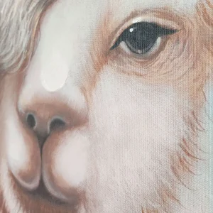 Obraz malovaný na plátno – Lama detail 1