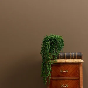 Barva na stěnu v tmavohnědém odstínu Frenchic Wall Paint Drama Llama