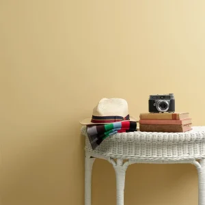 Žlutá barva na stěnu Frenchic Chalk Wall Paint Straw Hat